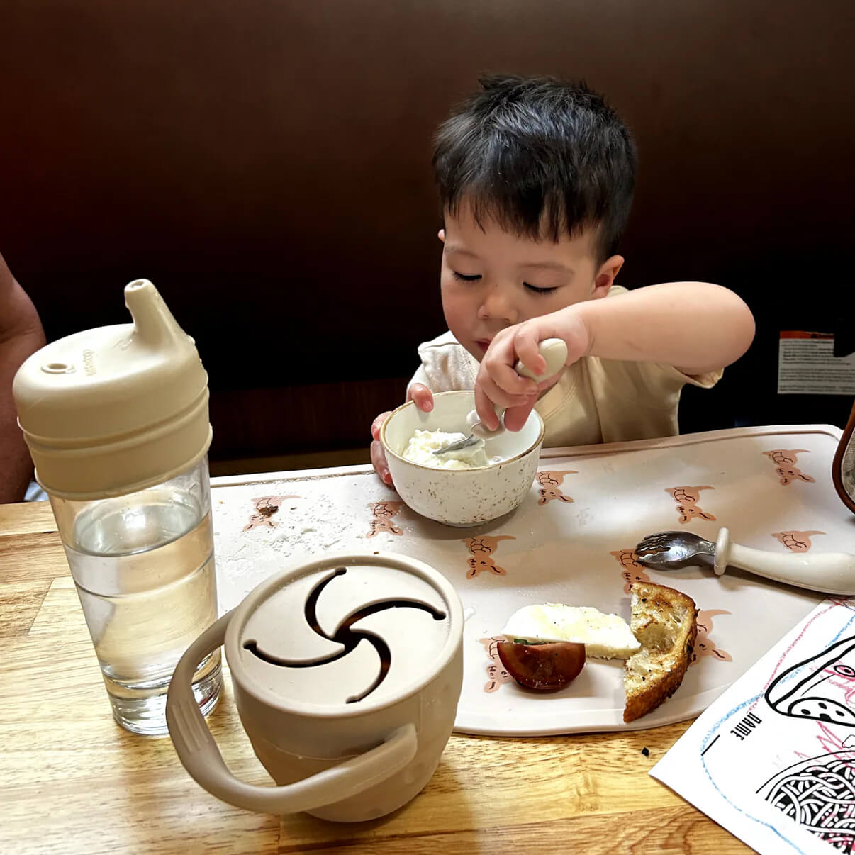 The Original Toddler To Go Restaurant Kit